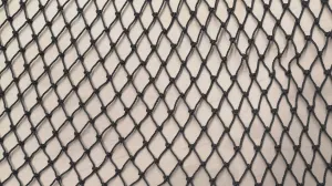 #30 x 2in x 50md Black HD Acrylic Coat Web (sold by the foot)