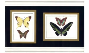 685443 Birds Wallpaper Border