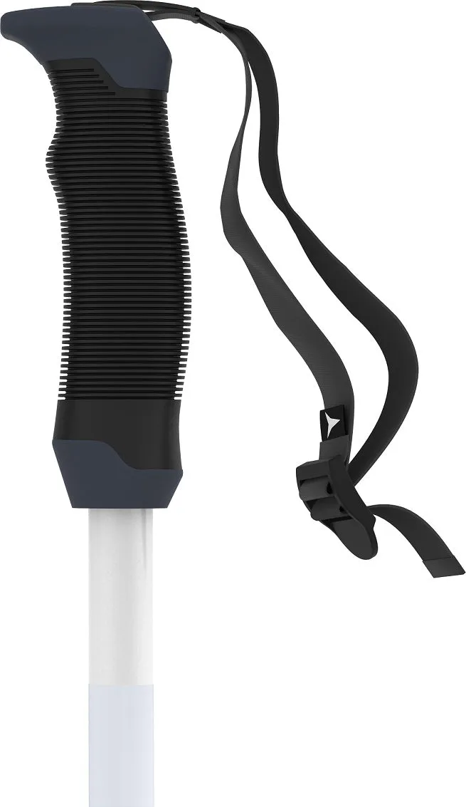 AMT SQS Womens Ski Pole