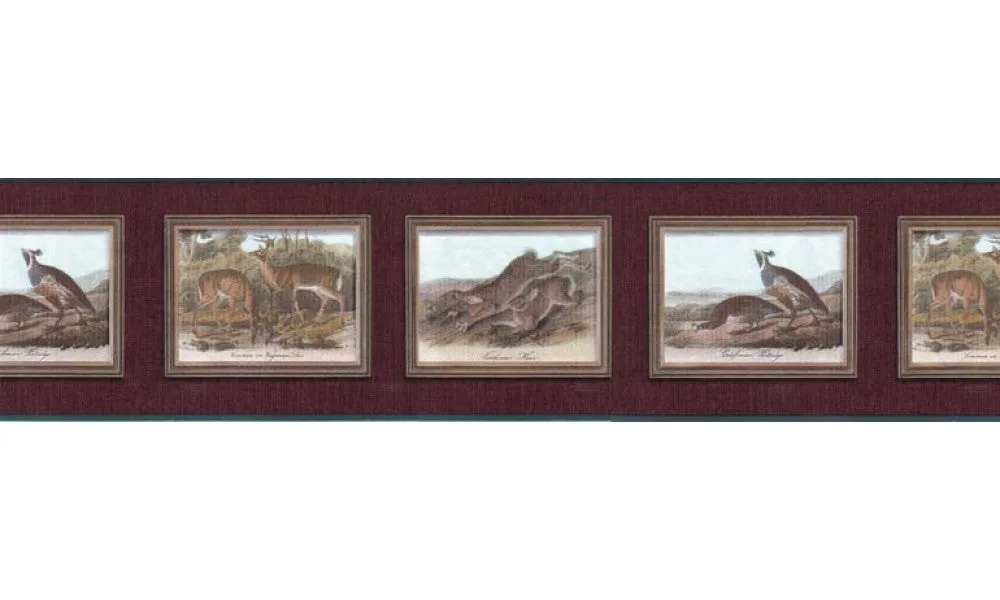 Animals b102652 Wallpaper Border