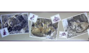 Animals b2072HW Wallpaper Border