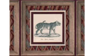 Animals B2161WD Wallpaper Border