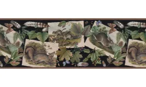 Animals B33639 Wallpaper Border