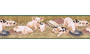 Animals B7100AFR Wallpaper Border
