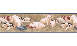 Animals B7101AFR AFR7101B Wallpaper Border