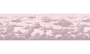 Animals B73561LA Wallpaper Border