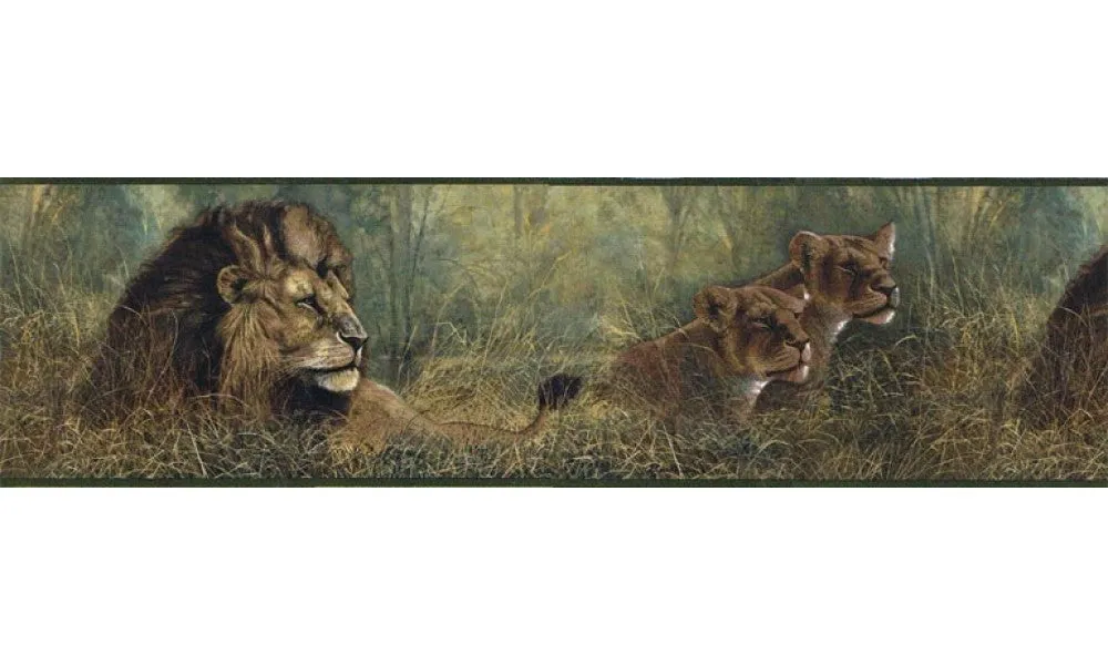 Animals B76464 Wallpaper Border
