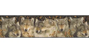 Animals MRL2403 Wallpaper Border