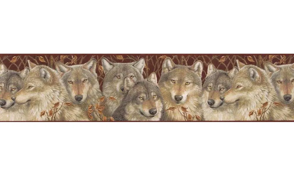 Animals MRL2405 Wallpaper Border