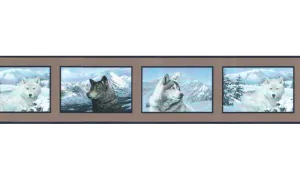 Animals SB10069B Wallpaper Border