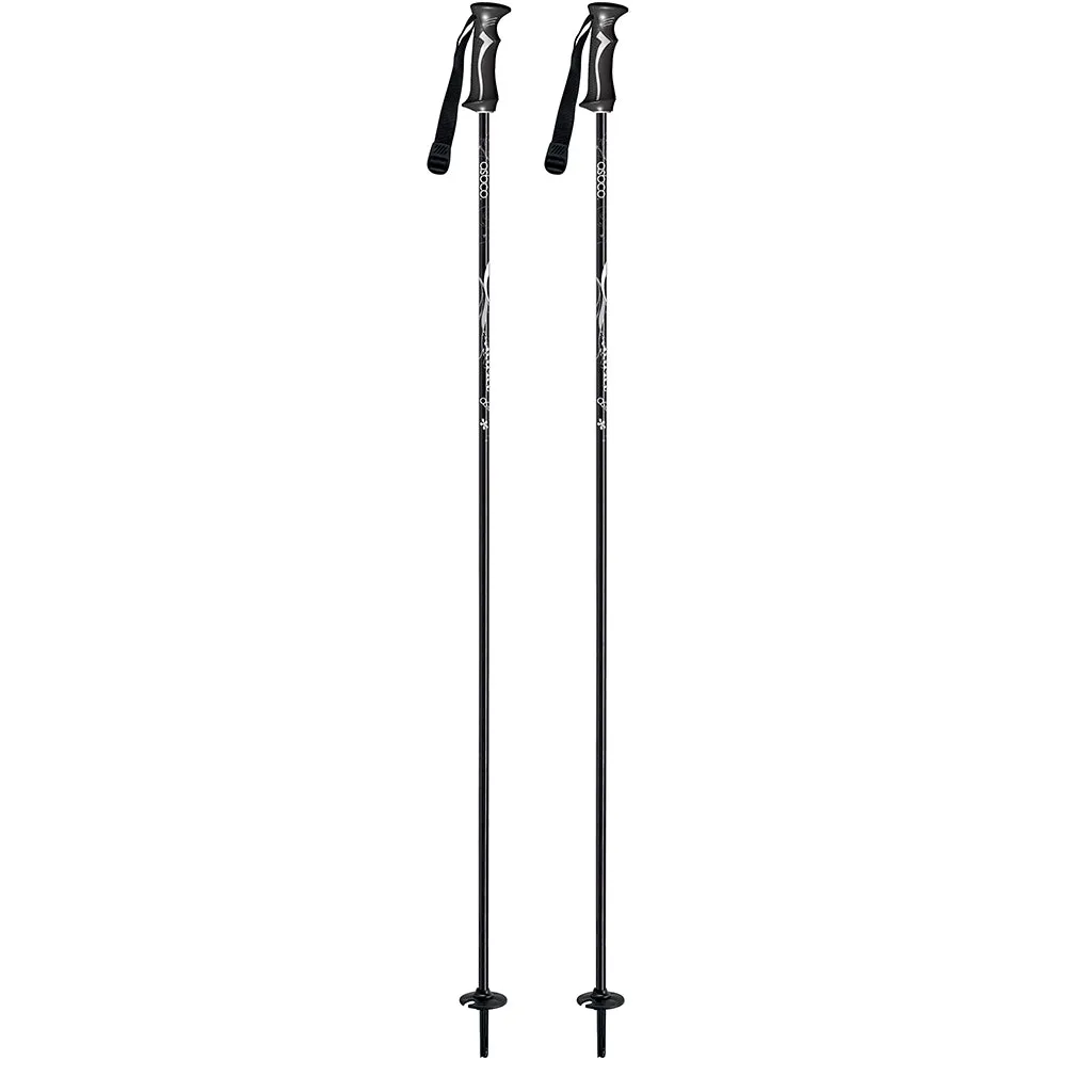 Asbco Luna Ski Pole