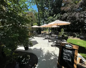 Backyard, Living Room & Kitchen $130/ Hr