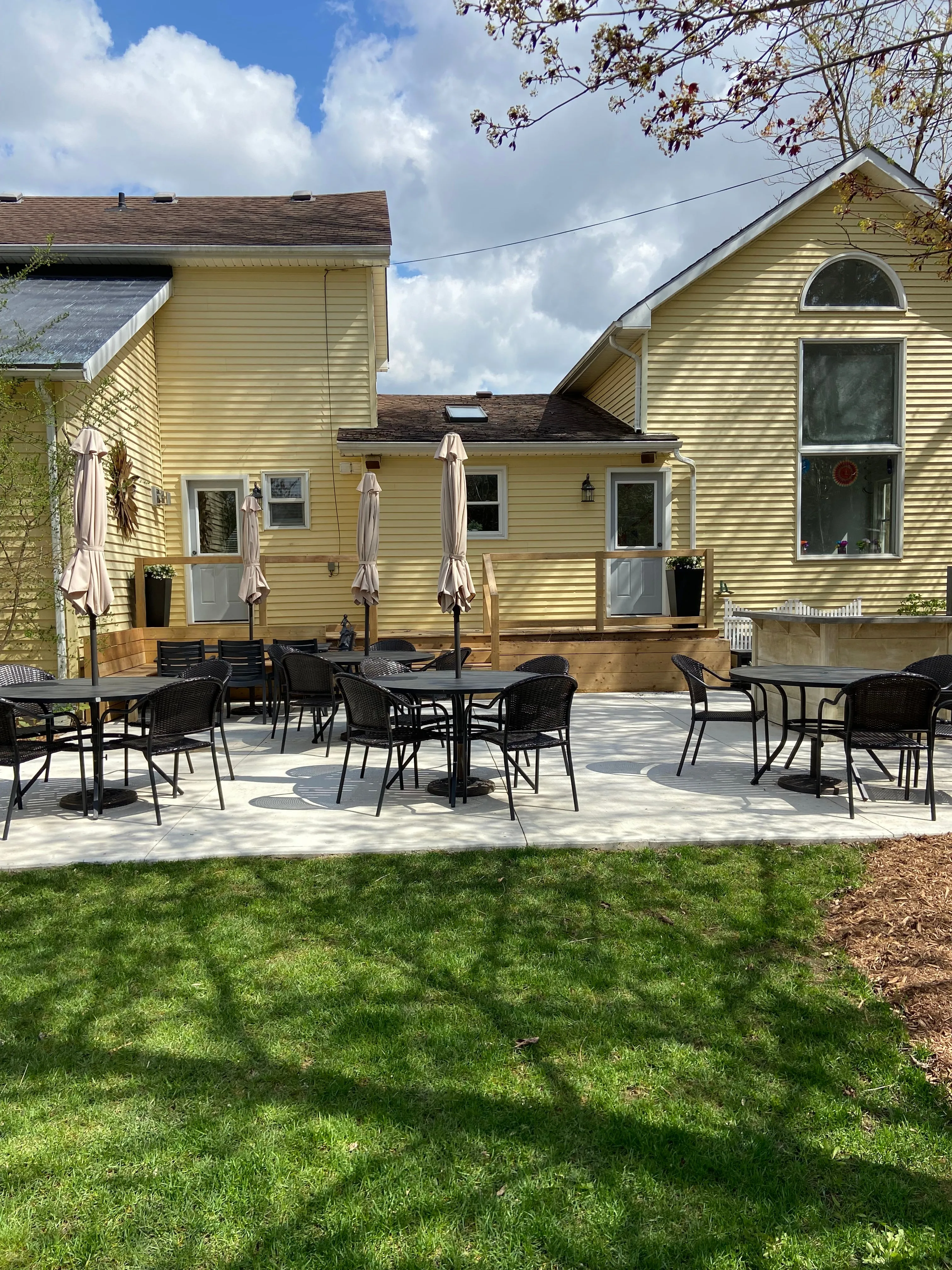 Backyard, Living Room & Kitchen $130/ Hr