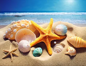 Beach Paint By Numbers Kits UK MJ8543