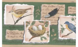 Beige Green Bird Nest PE608 Wallpaper Border