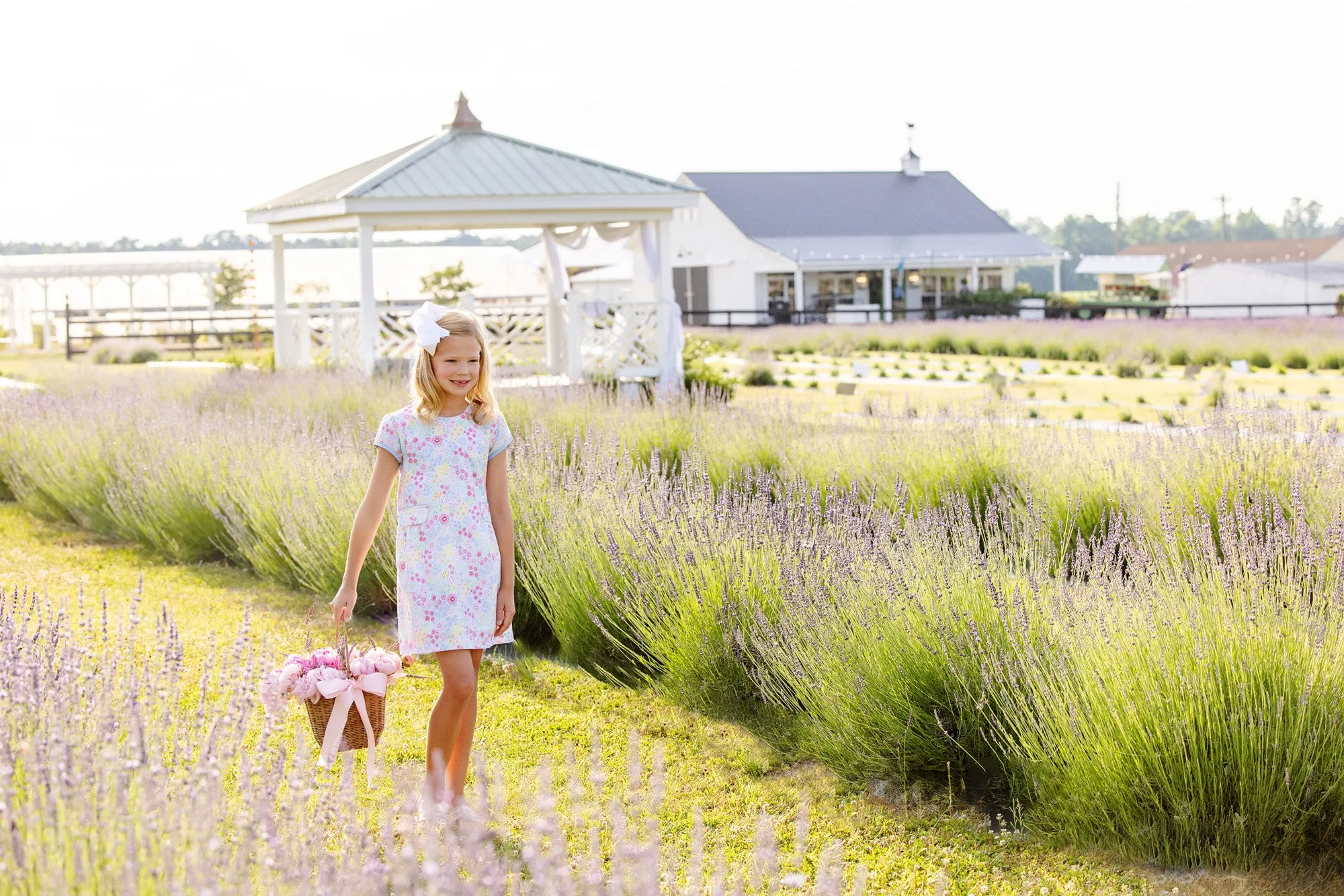 Betts Bow Dress - Merry Little Meadow with Beale Street Blue