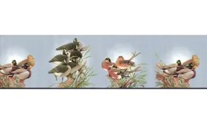 Birds B2061DU Wallpaper Border