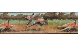 Birds b2132du Wallpaper Border