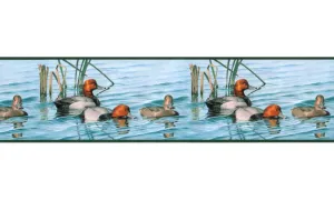 Birds B2291DU Wallpaper Border