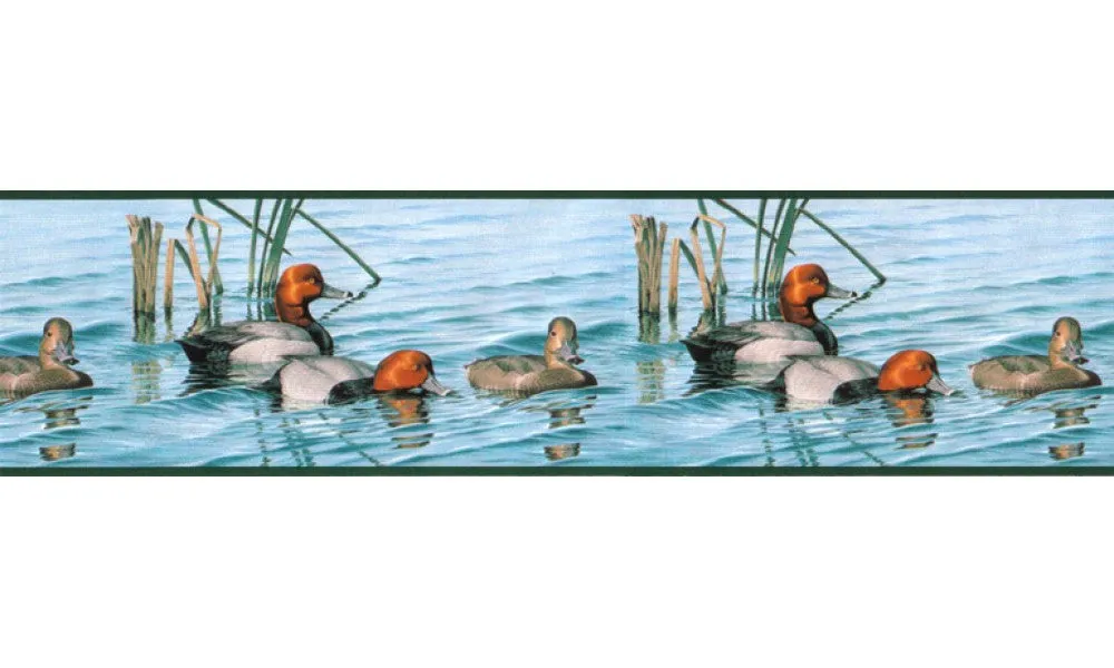Birds B2291DU Wallpaper Border
