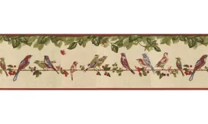 Birds B30037 Wallpaper Border