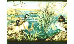 Birds b72071 Wallpaper Border
