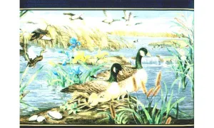 Birds b72072 Wallpaper Border