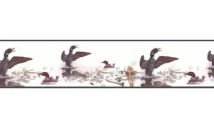 Birds B76345 Wallpaper Border