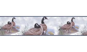 Birds B76361 Wallpaper Border
