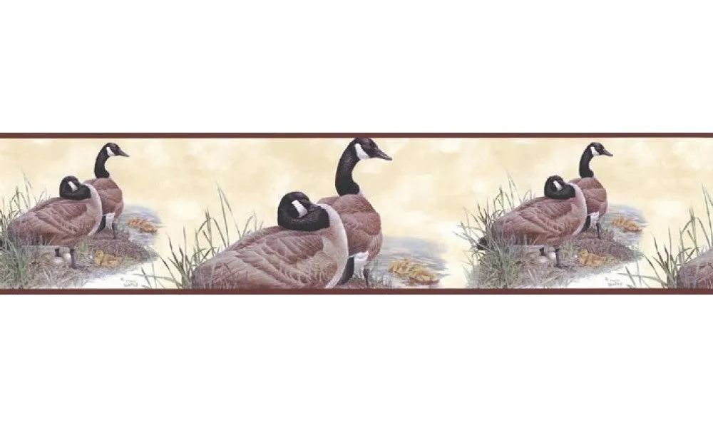 Birds B76362 Wallpaper Border