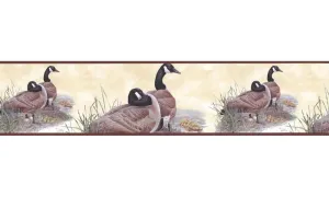Birds B76362 Wallpaper Border