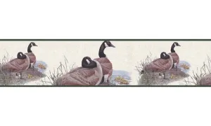 Birds B76363 Wallpaper Border