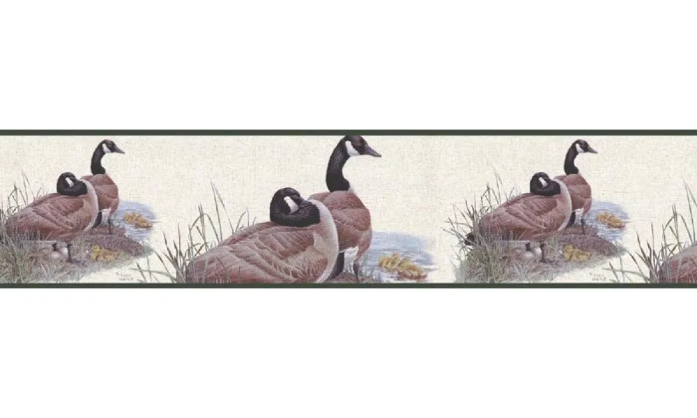 Birds B76363 Wallpaper Border