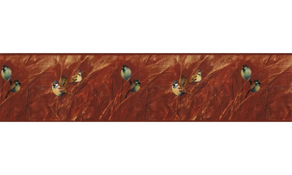 Birds NS7701B Wallpaper Border