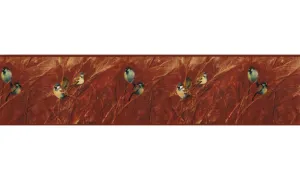 Birds NS7701B Wallpaper Border