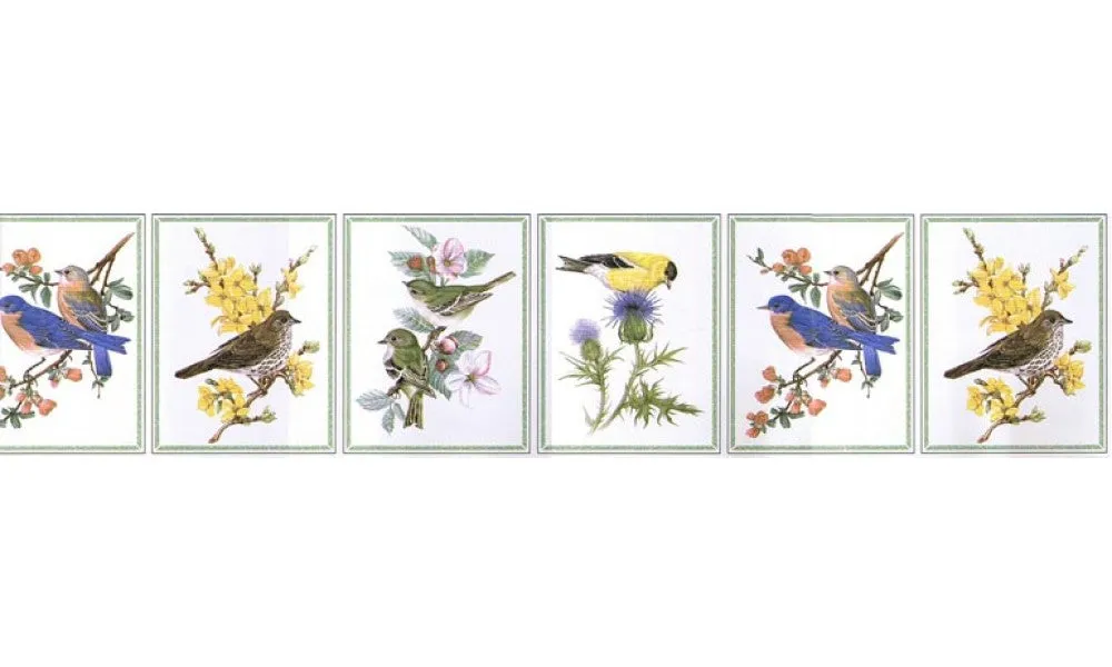 Birds NW50012 Wallpaper Border