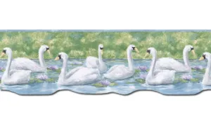 Birds PT24020B Wallpaper Border