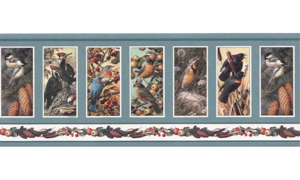 Birds SH4331B Wallpaper Border