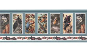Birds SH4331B Wallpaper Border
