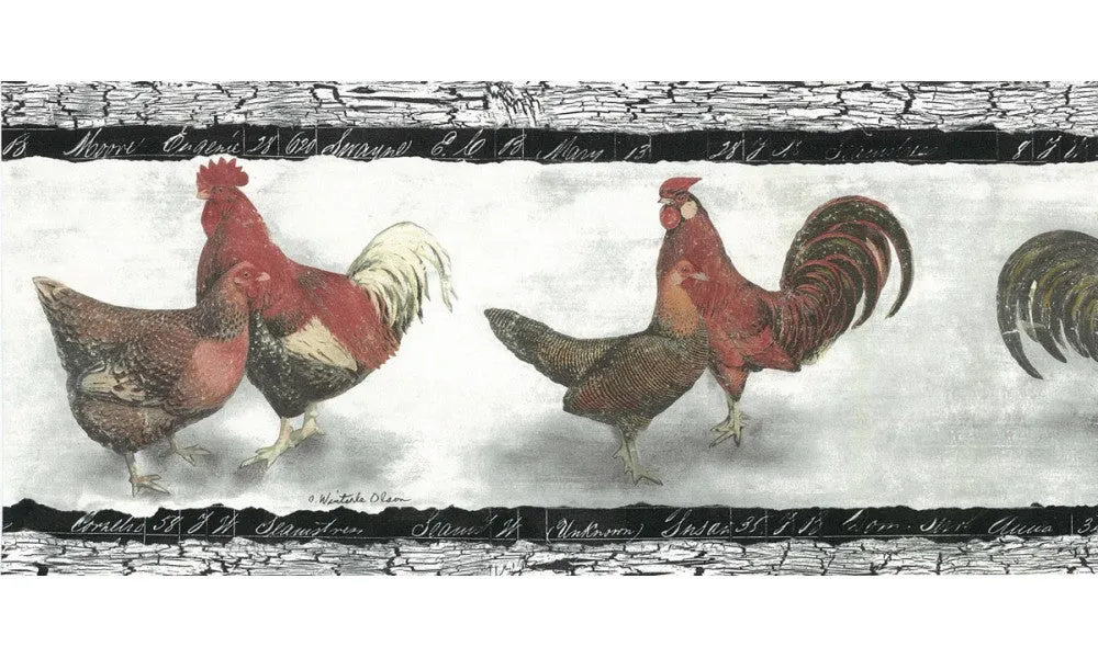 Birds SP76452 Wallpaper Border