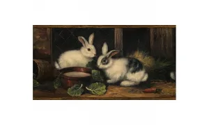 Brown Country Rabbits GG54061 Wallpaper Border