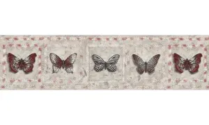 Butterfly AW77382 Wallpaper Border