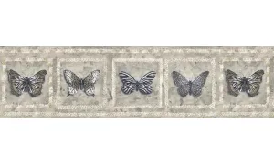 Butterfly AW77383 Wallpaper Border