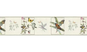 Butterfly B76364 Wallpaper Border
