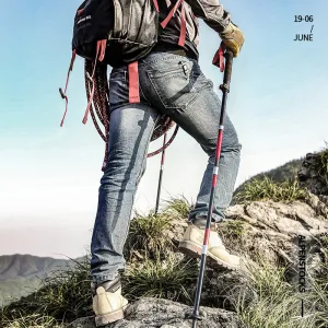 Carbon trekking poles