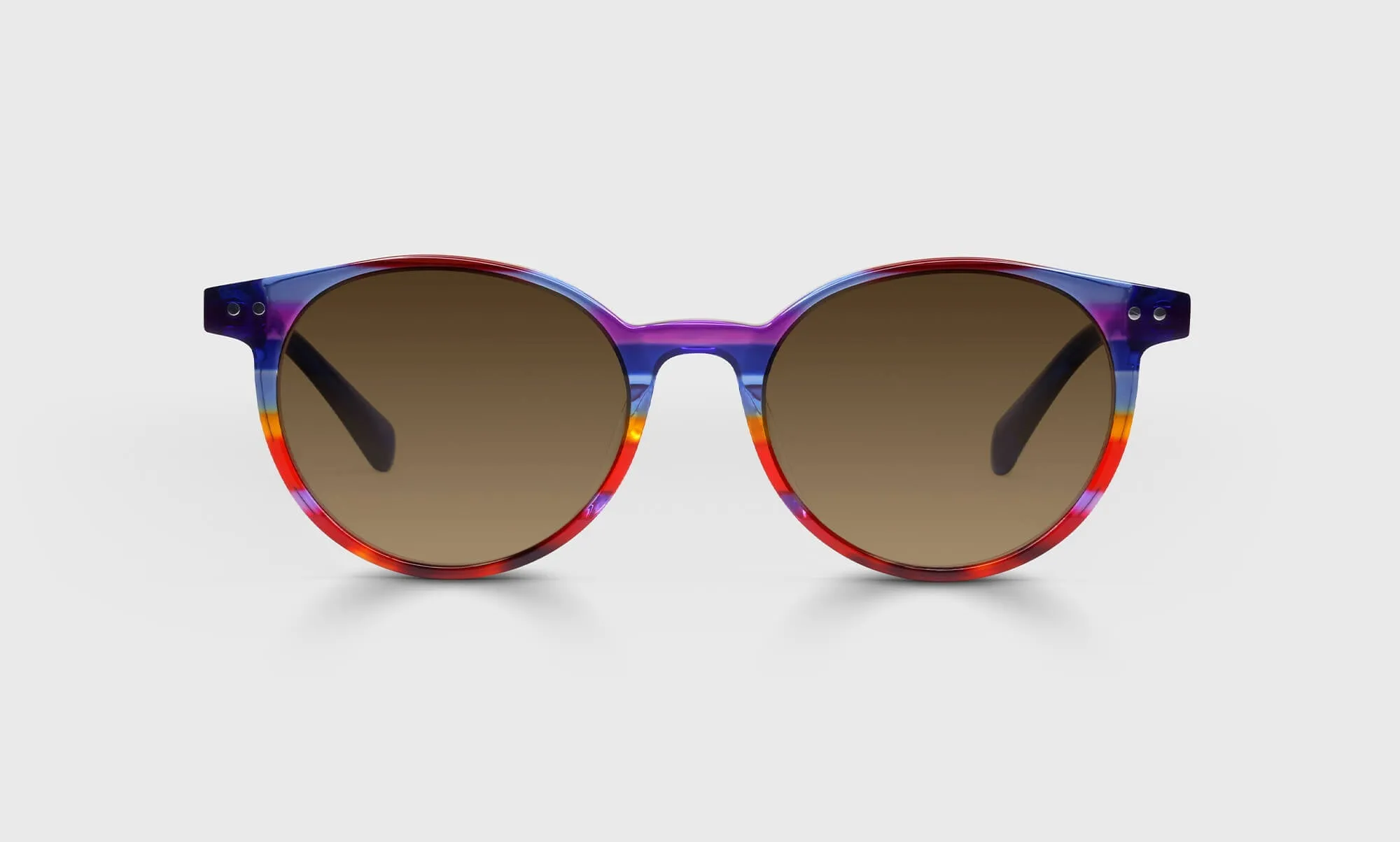 Case Closed Sunglasses (Sale)