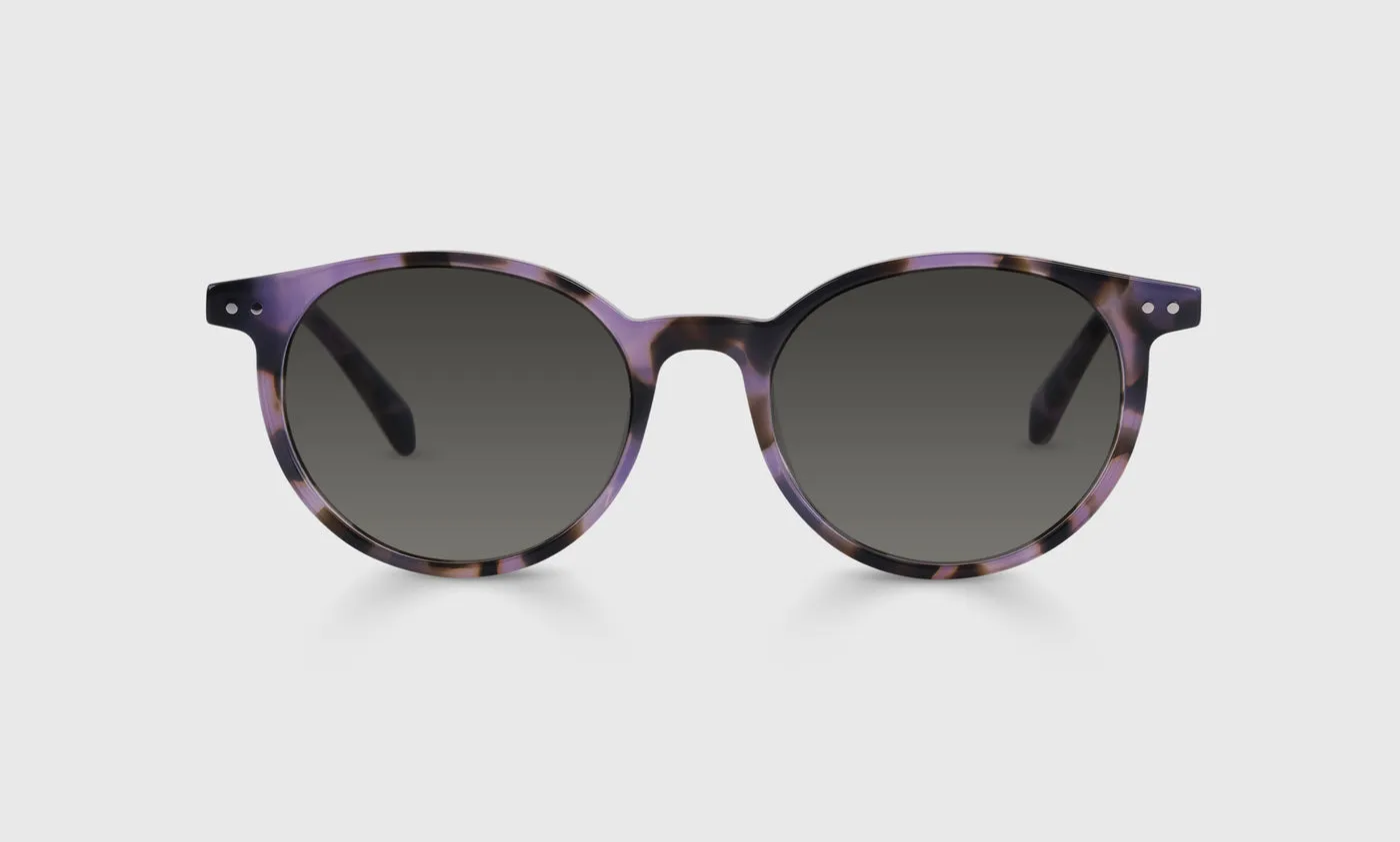 Case Closed Sunglasses (Sale)
