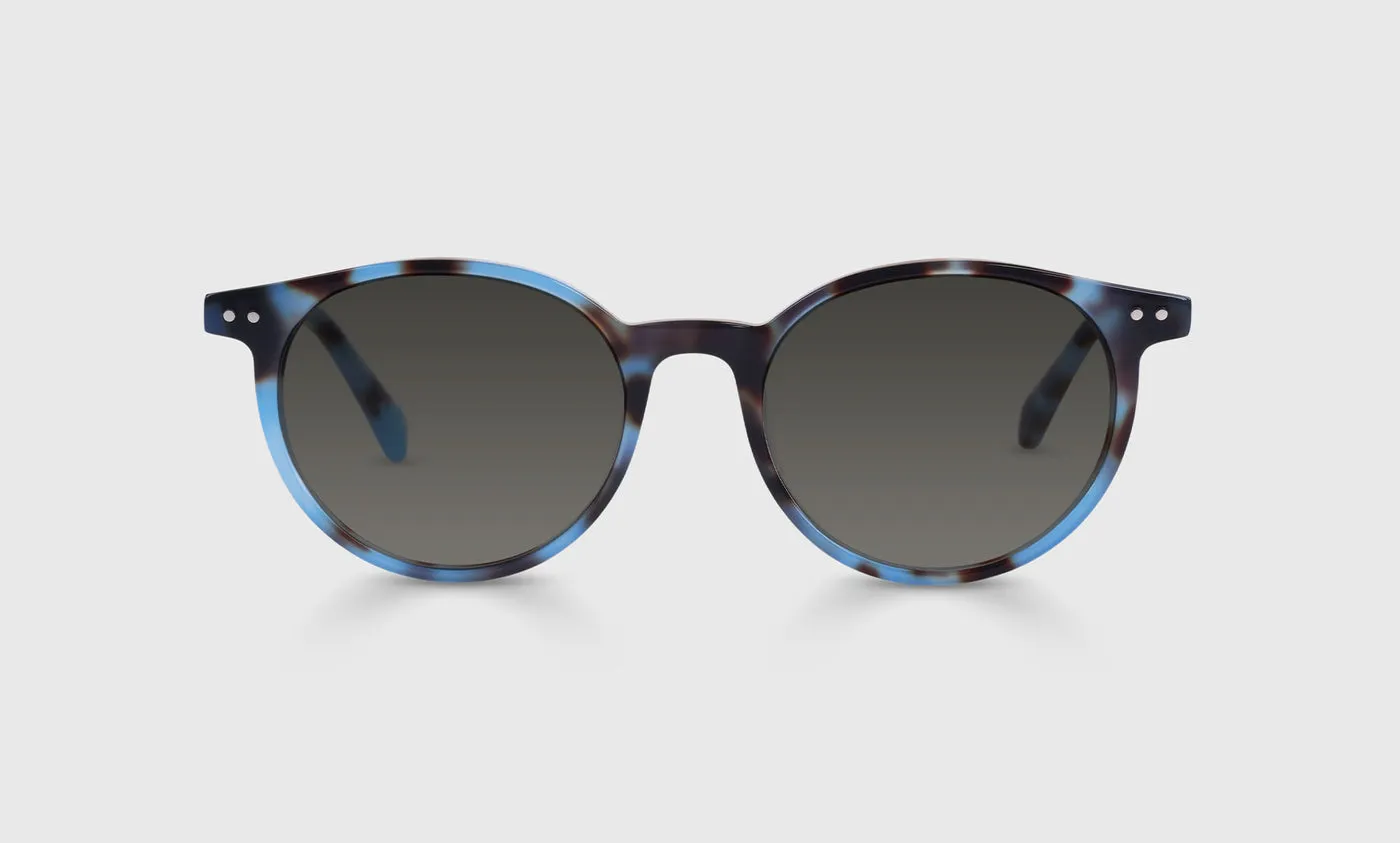 Case Closed Sunglasses (Sale)