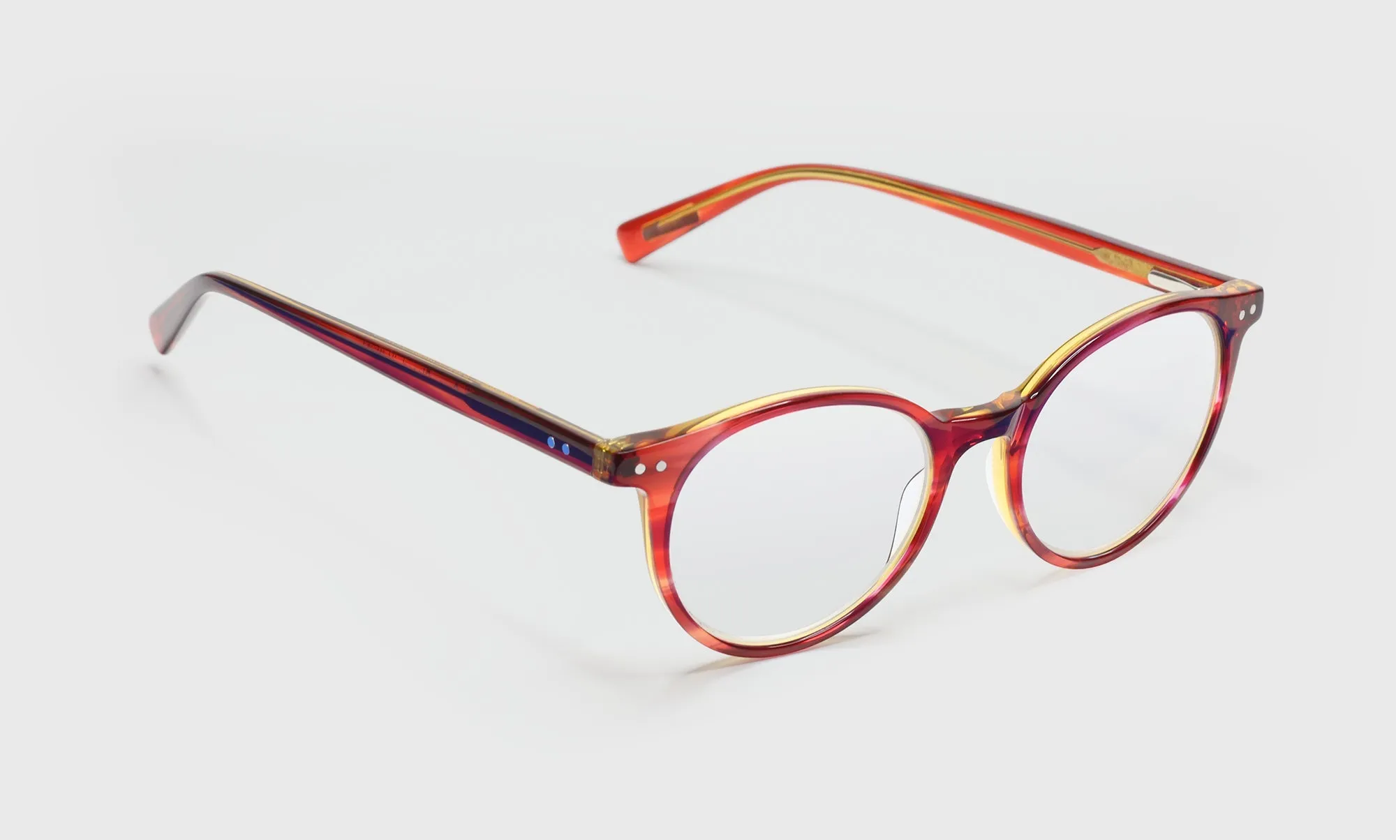 Case Closed Sunglasses (Sale)