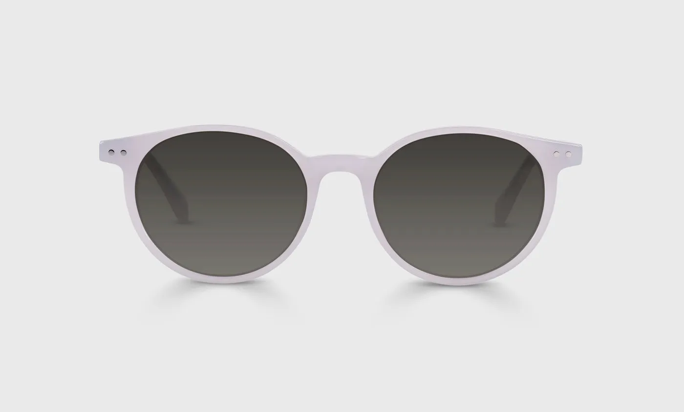 Case Closed Sunglasses (Sale)
